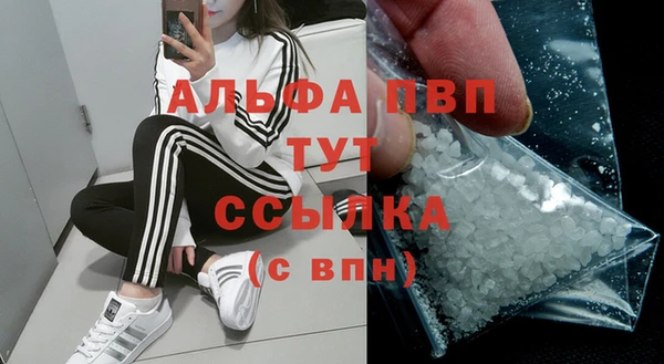 спайс Верея