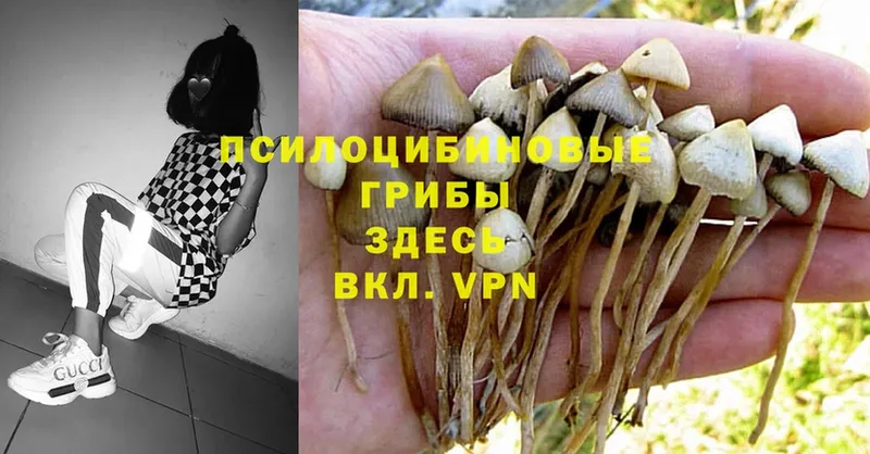 закладка  OMG зеркало  Псилоцибиновые грибы MAGIC MUSHROOMS  Неман 